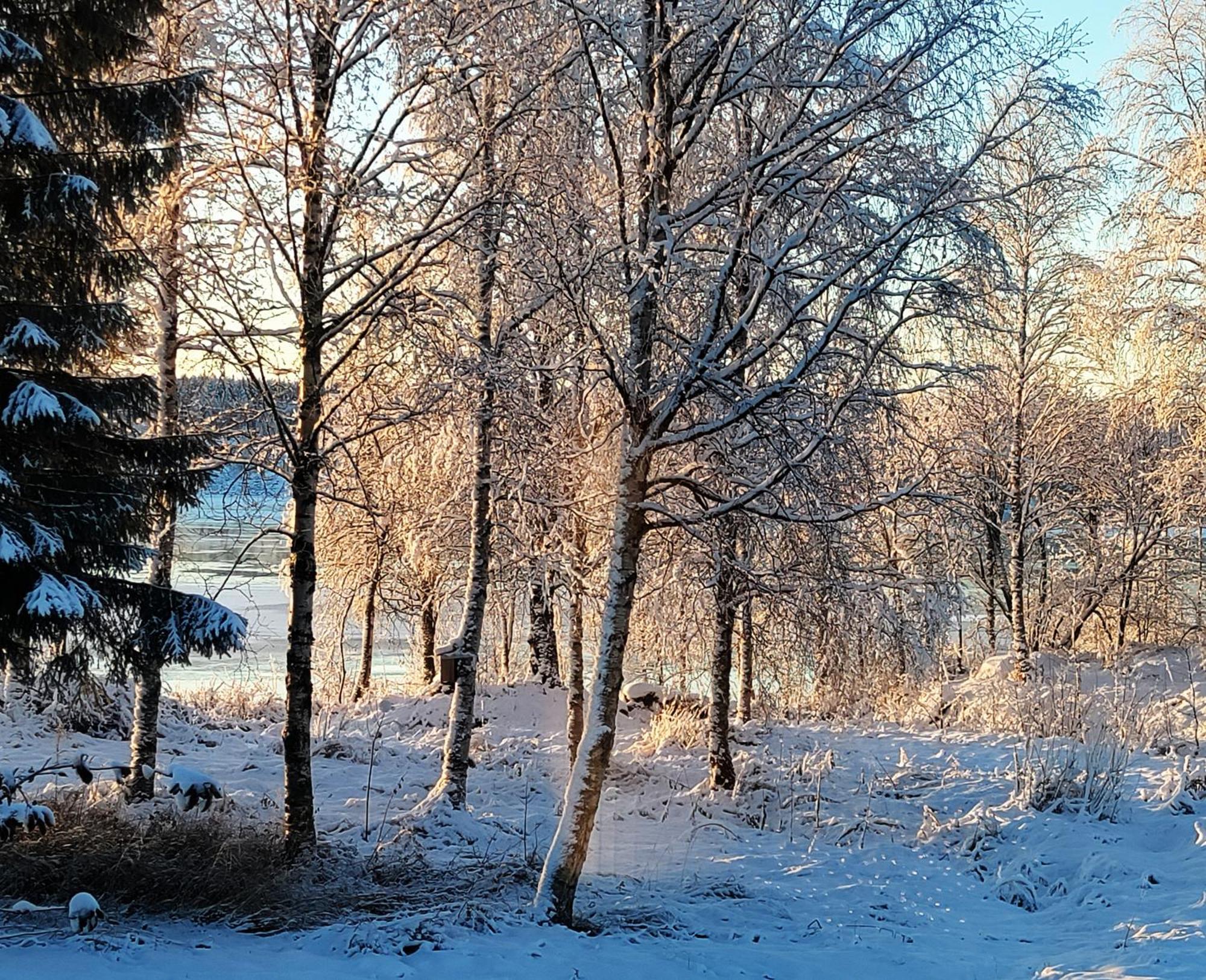 Villa Puistola & Sauna, Near Santa'S Village Rovaniemi Extérieur photo